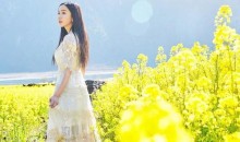 高郵湖湖上花海、鎮(zhèn)國(guó)寺、盂城驛、平津古堰、西堤純玩休閑二日游